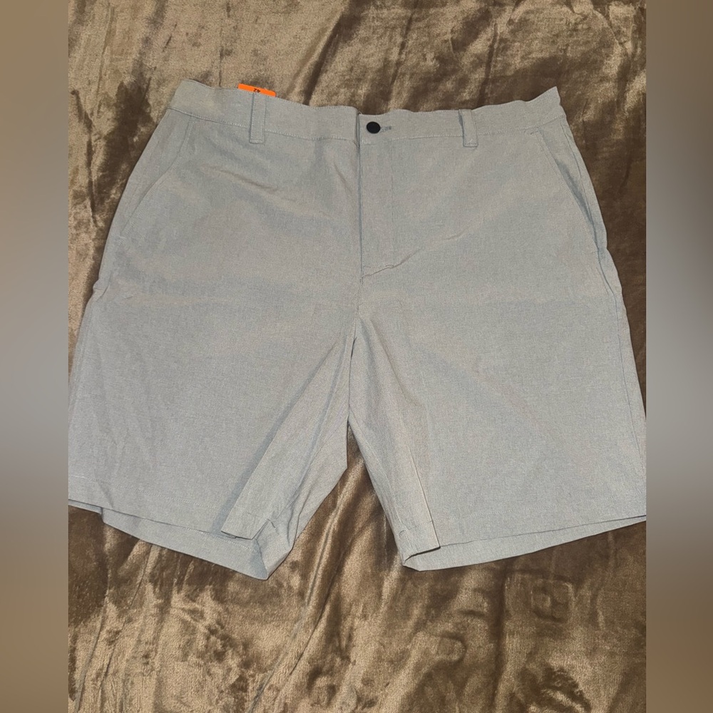 Banana Republic Gray Men's Flat Front Shorts